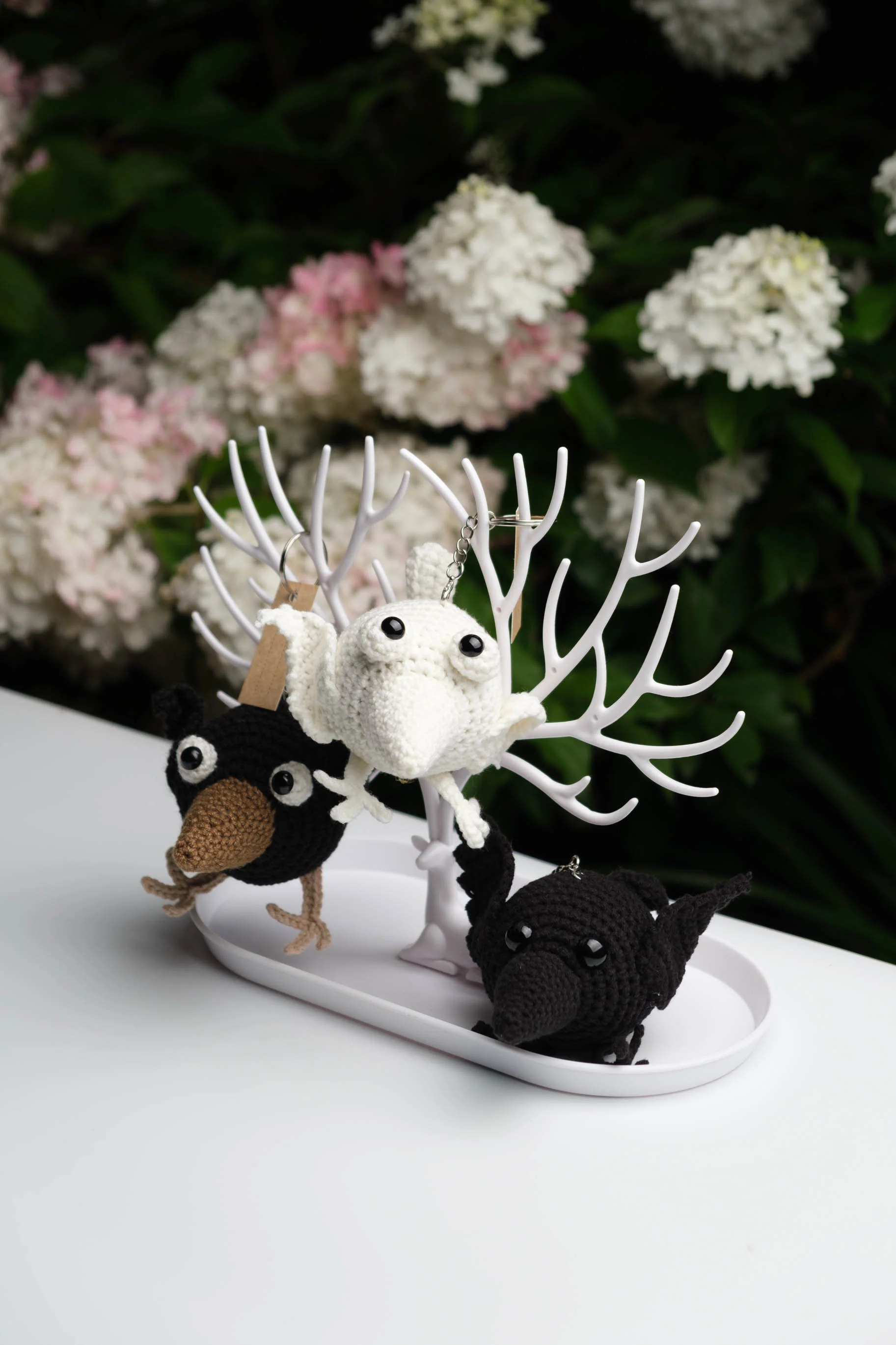 DSCF3650.webp